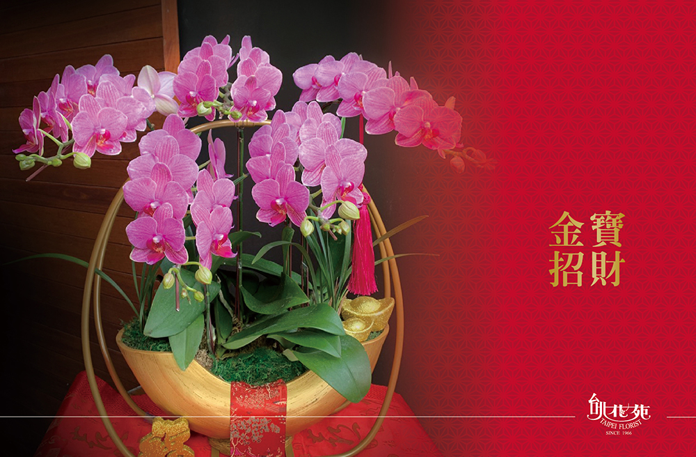 2021年節-金寶招財