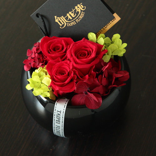 熱情紅永生花 TF9331